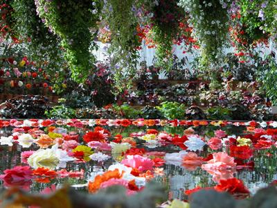 botanical garden
